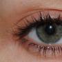 Eyelash growth phases and ways to restore them