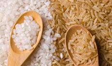 Využití rýže a hodnocení kvality