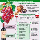 A vörösbor tulajdonságai terhes nők számára