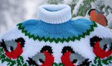 このエレガントな子供用ウソのセーターは、丸いジャカード ヨークの雪のパターンを簡単に実行できるように下から上に編まれています。