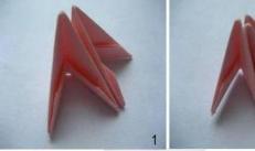 Modulair origami-manddiagram Hoe maak je een mand van een origami-module