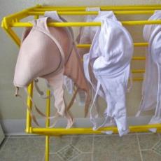 How to wash a bra correctly: useful tips and tricks