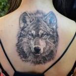 Semnificația și semnificația unui tatuaj de lup