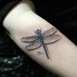 El significado del tatuaje “Libélula” para niños y niñas Tatuaje de libélula en el cuello